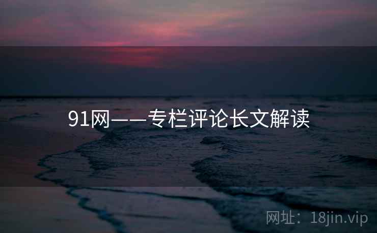 91网——专栏评论长文解读