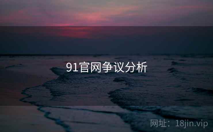 91官网争议分析