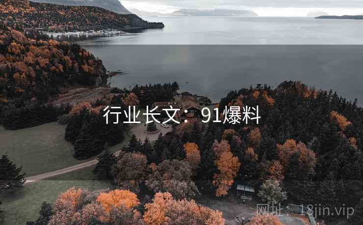 行业长文：91爆料