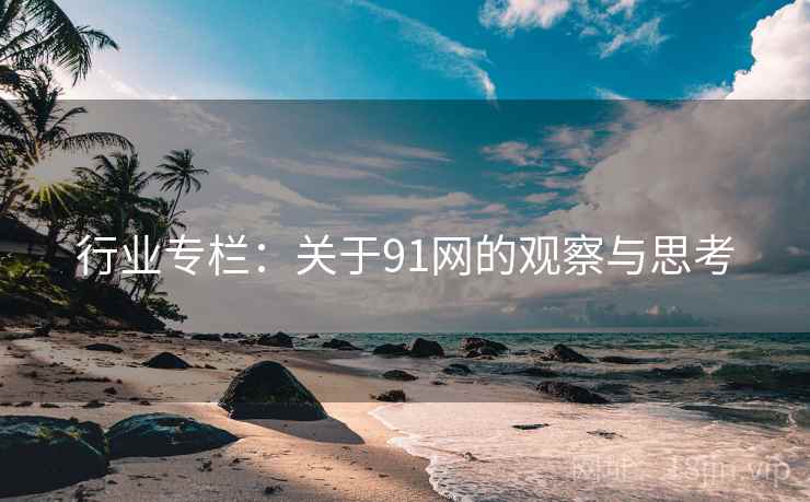 行业专栏：关于91网的观察与思考
