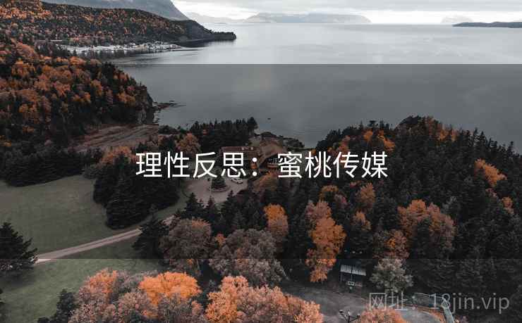 理性反思：蜜桃传媒