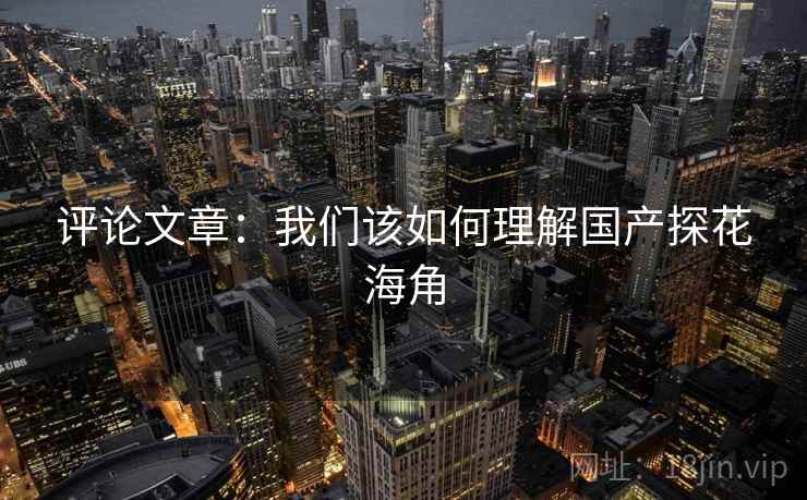 评论文章：我们该如何理解国产探花海角