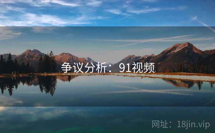 争议分析：91视频