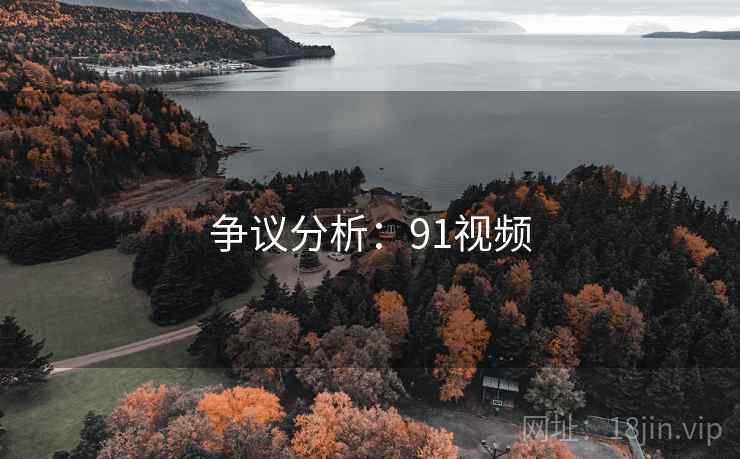 争议分析：91视频