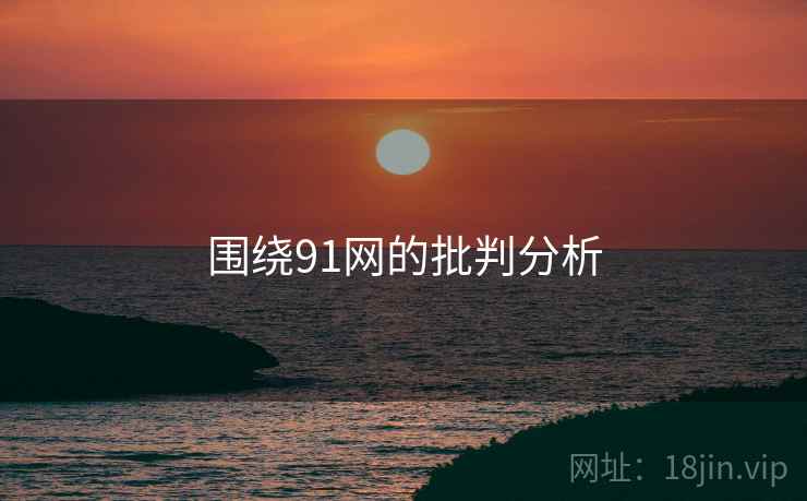 围绕91网的批判分析