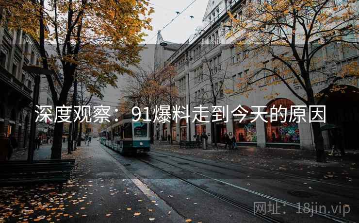 深度观察：91爆料走到今天的原因