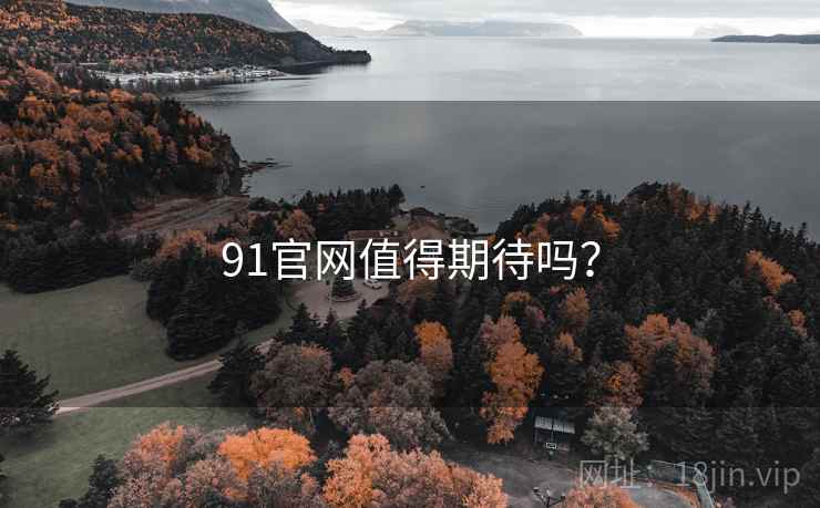 91官网值得期待吗？
