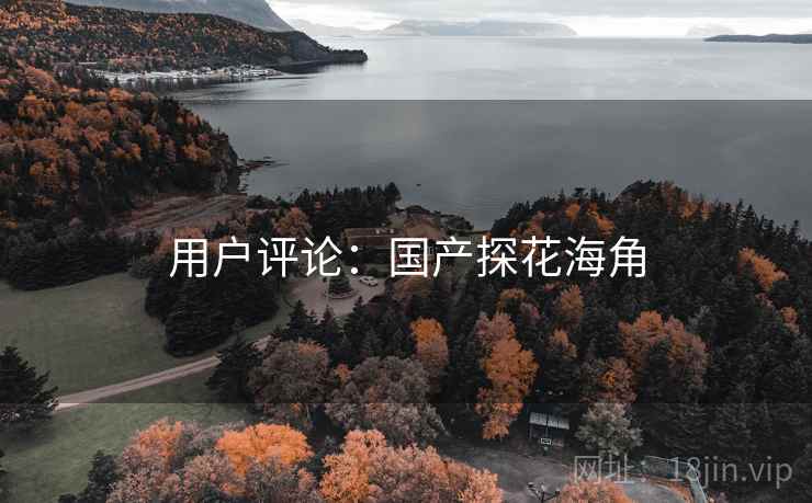 用户评论：国产探花海角